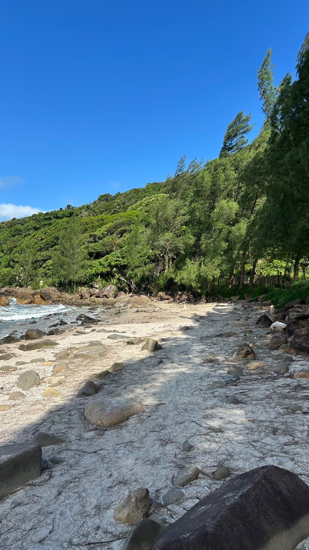 Ponta do Papagaio